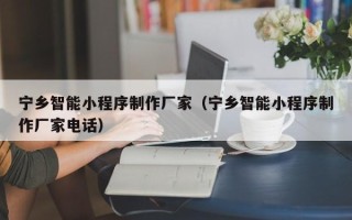 阿勒泰宁乡智能小程序制作厂家（宁乡智能小程序制作厂家电话）
