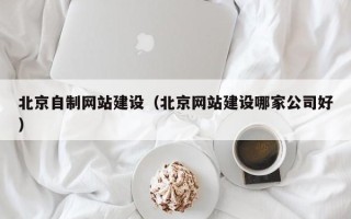 阿勒泰北京自制网站建设（北京网站建设哪家公司好）